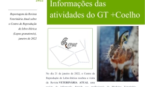 Reportagem da Revista Veterinária Atual sobre o Centro de Reprodução de lebre-ibérica  (Lepus granatensis), janeiro de 2022