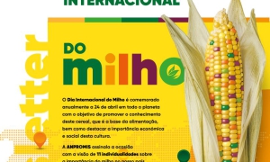 Newsletter Anpromis - Dia Internacional do Milho 2024