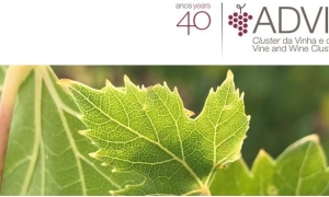 Conferências Temáticas - ALTERAÇÕES CLIMÁTICAS | Repensar o futuro do Setor do Vinho