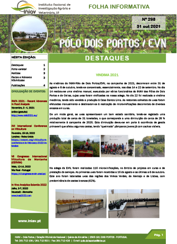 Folha Informativa nº 298- 31 outubro 2021
