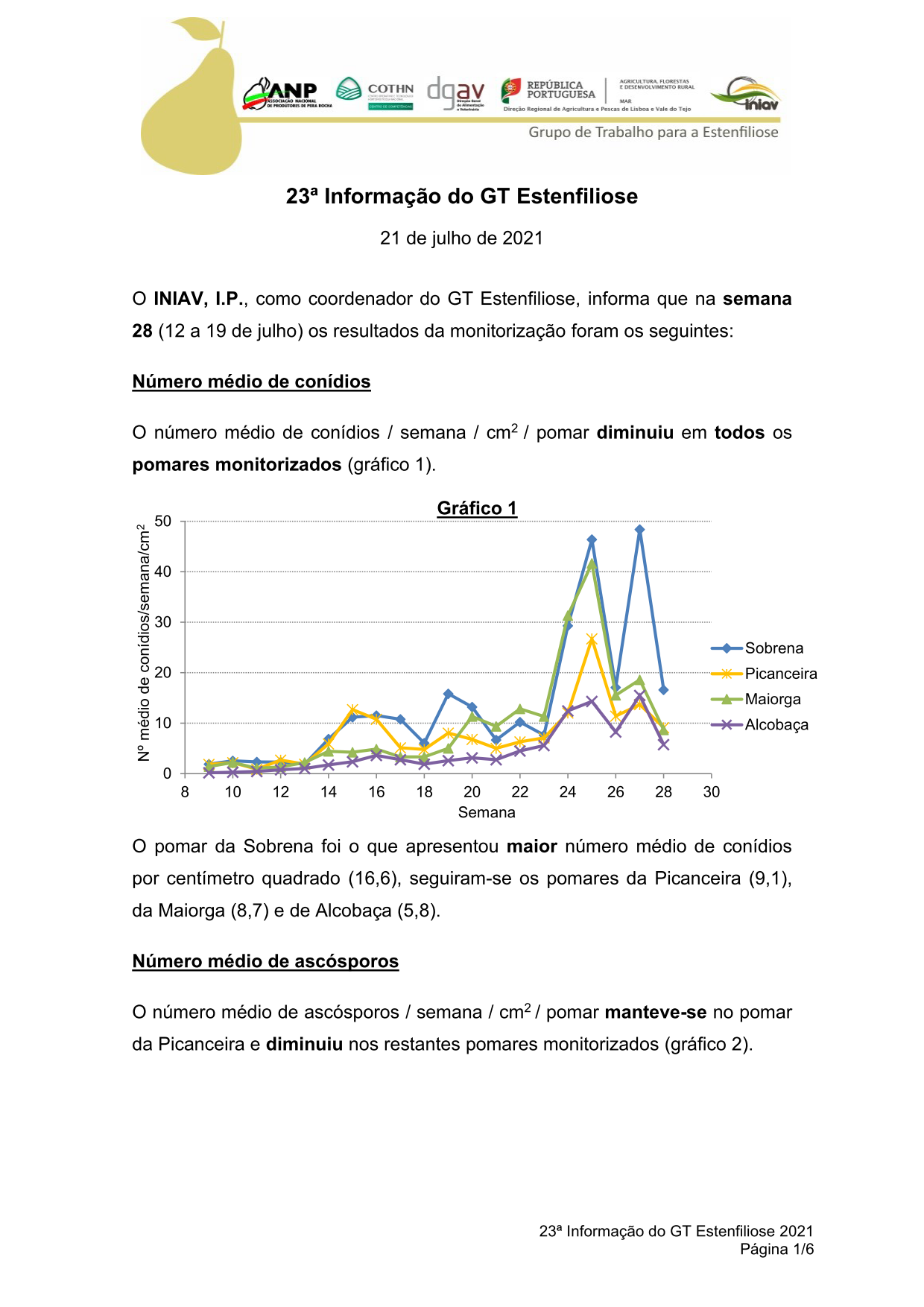 gt estenfiliose 2 informacao 10 02 2021