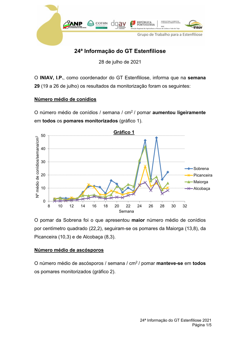 gt estenfiliose 2 informacao 10 02 2021