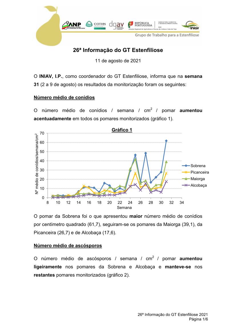 gt estenfiliose 2 informacao 10 02 2021