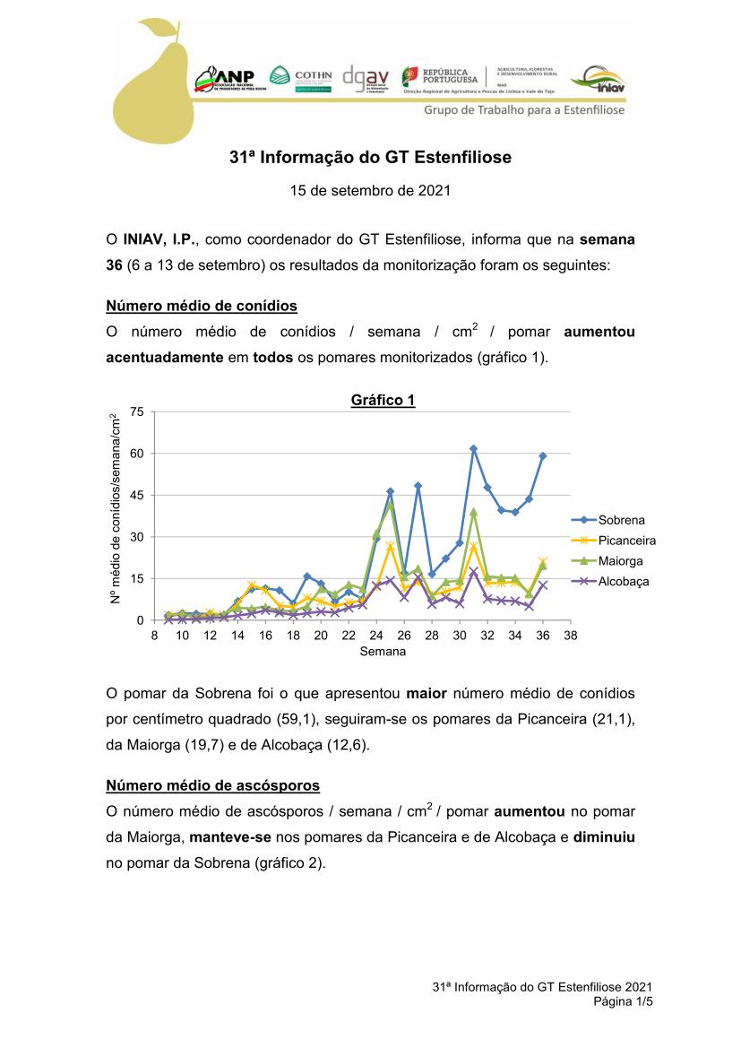 gt estenfiliose 2 informacao 10 02 2021