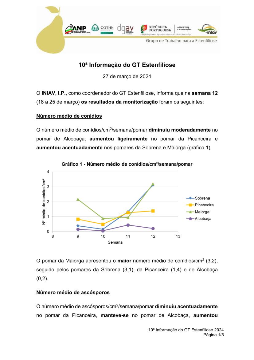 10ª Informação do GT Estenfiliose 2024