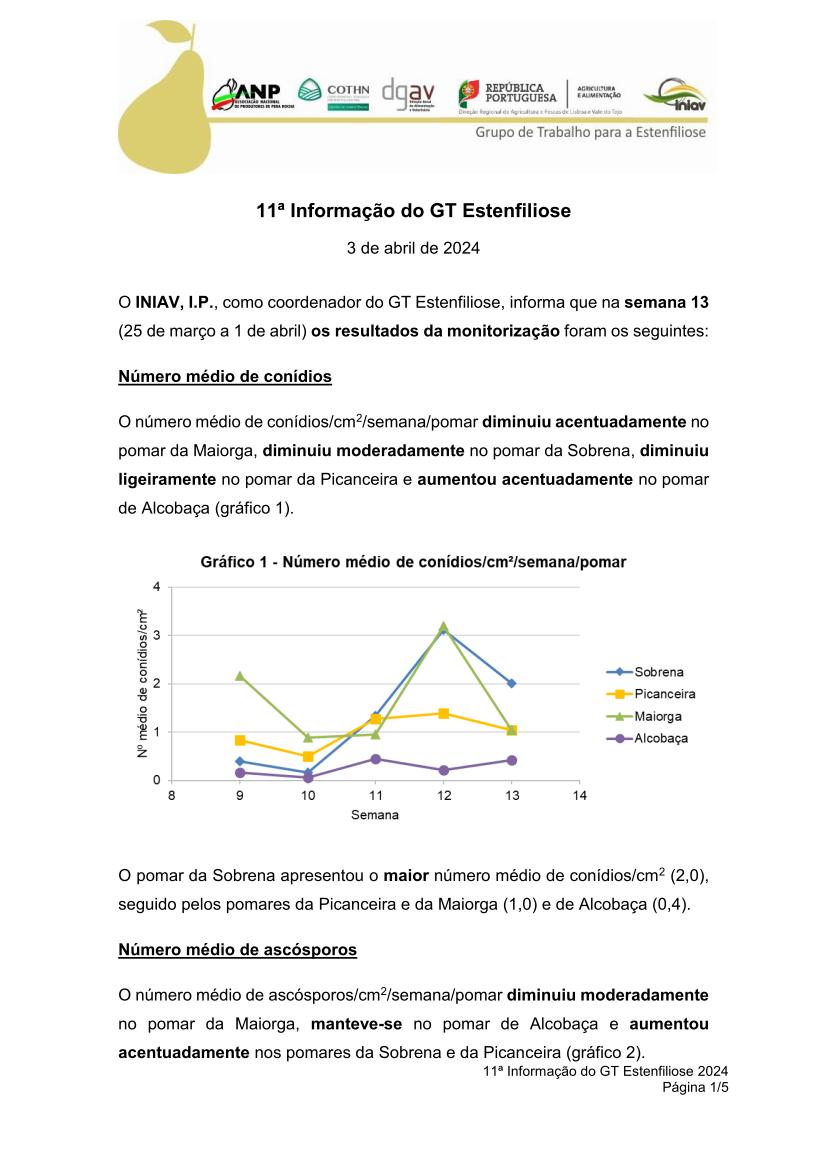 11ª Informação do GT Estenfiliose 2024