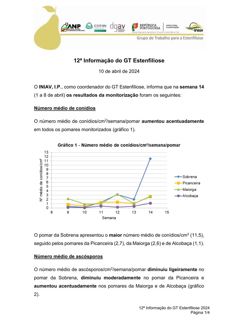 12ª Informação do GT Estenfiliose 2024