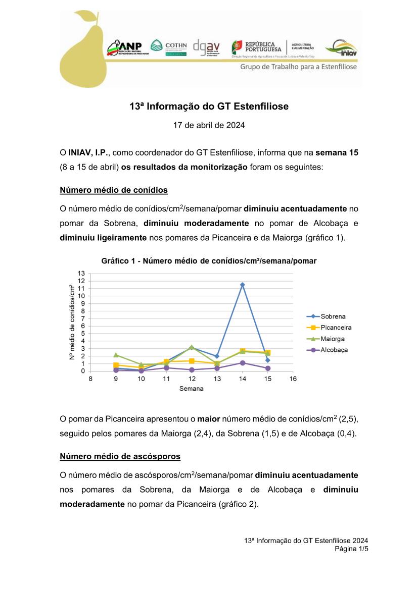 13ª Informação do GT Estenfiliose 2024