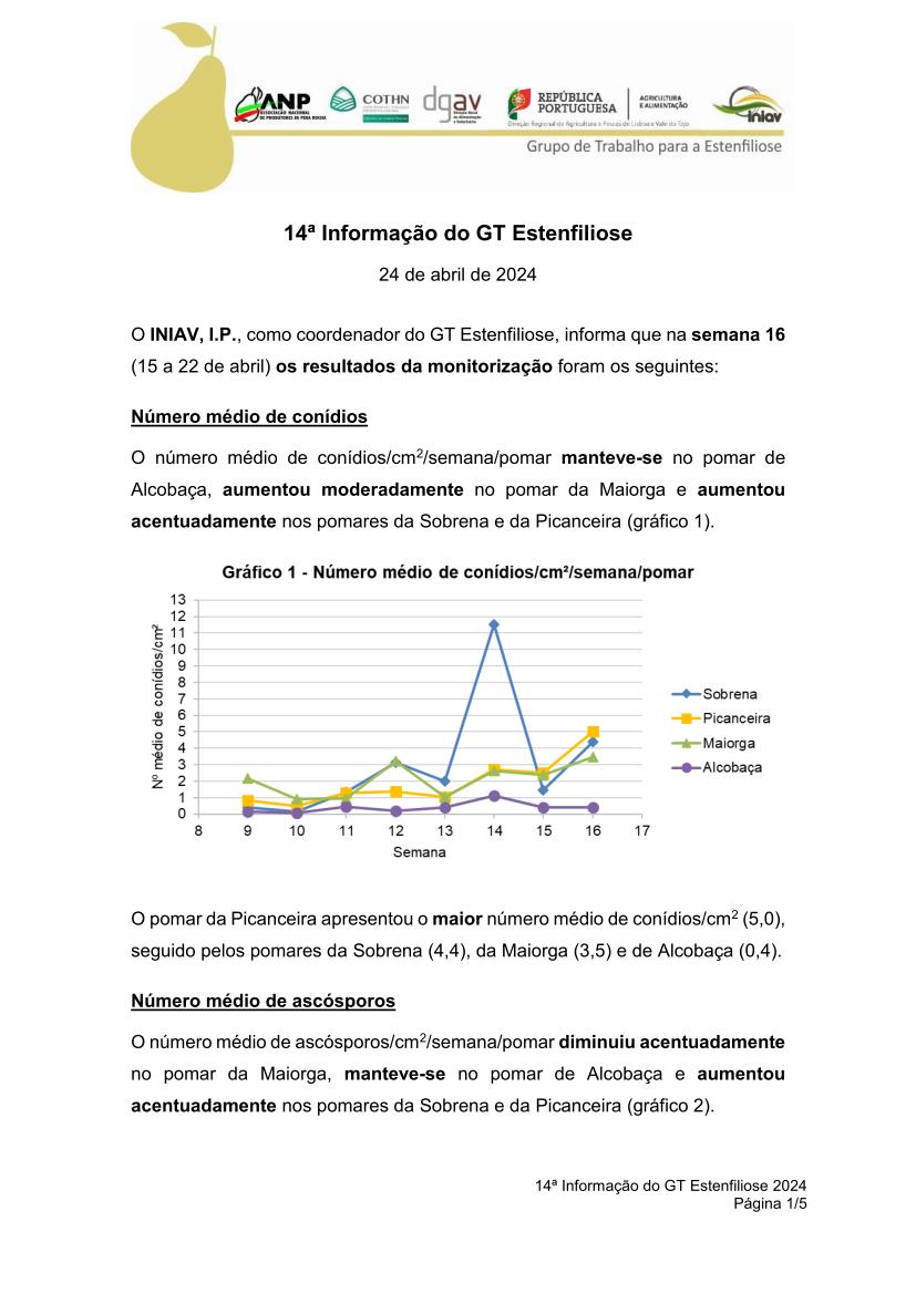 14ª Informação do GT Estenfiliose 2024