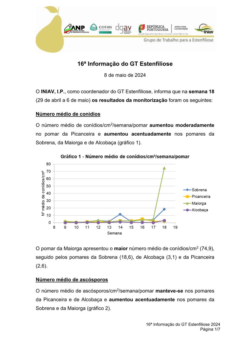 16ª Informação do GT Estenfiliose 2024