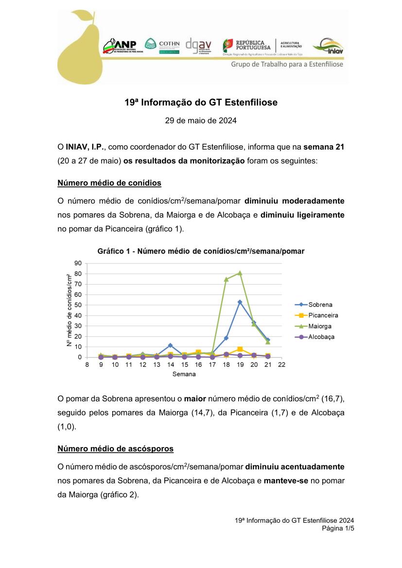 19ª Informação do GT Estenfiliose 2024