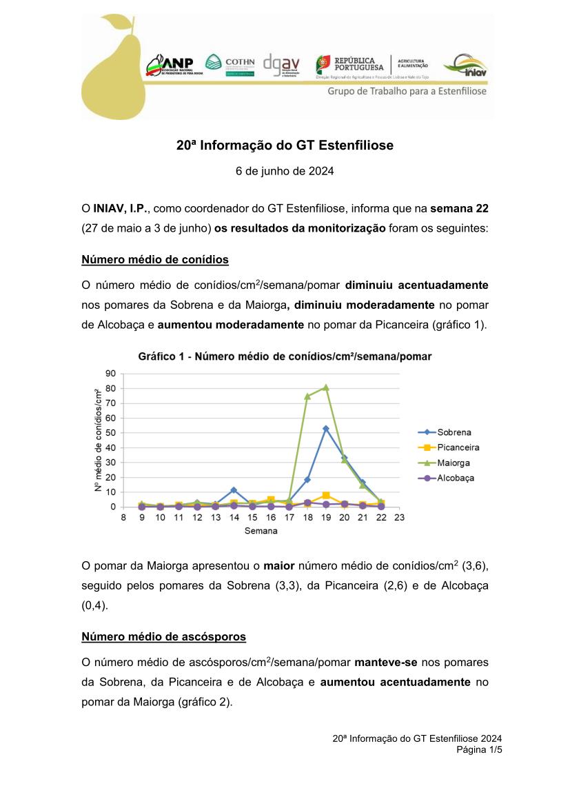 20ª Informação do GT Estenfiliose 2024