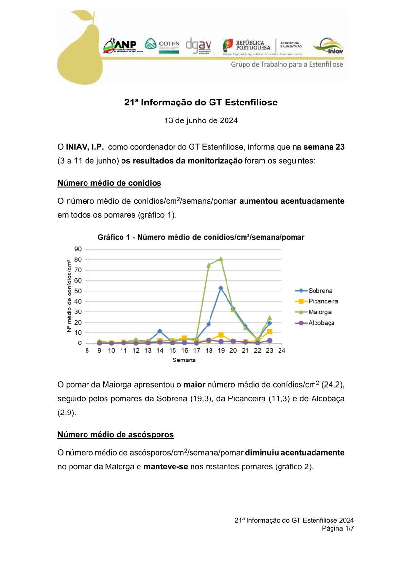 21ª Informação do GT Estenfiliose 2024