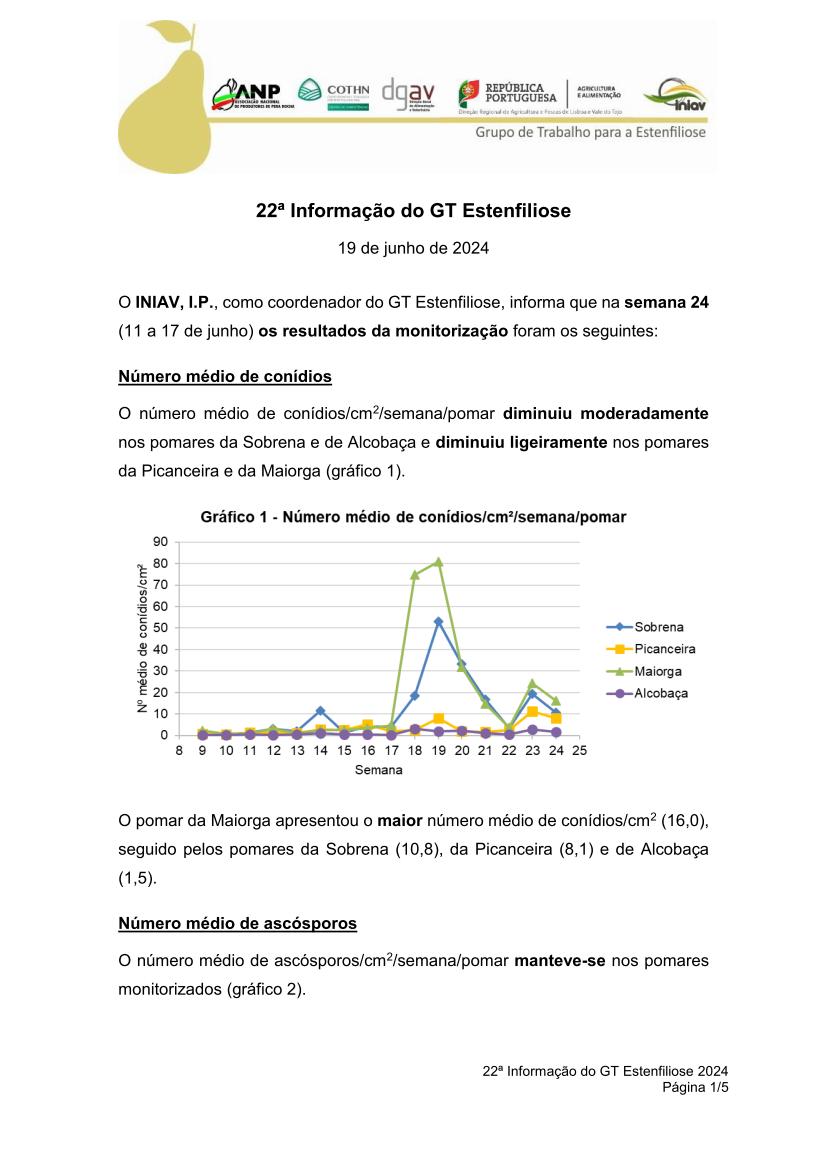 22ª Informação do GT Estenfiliose 2024