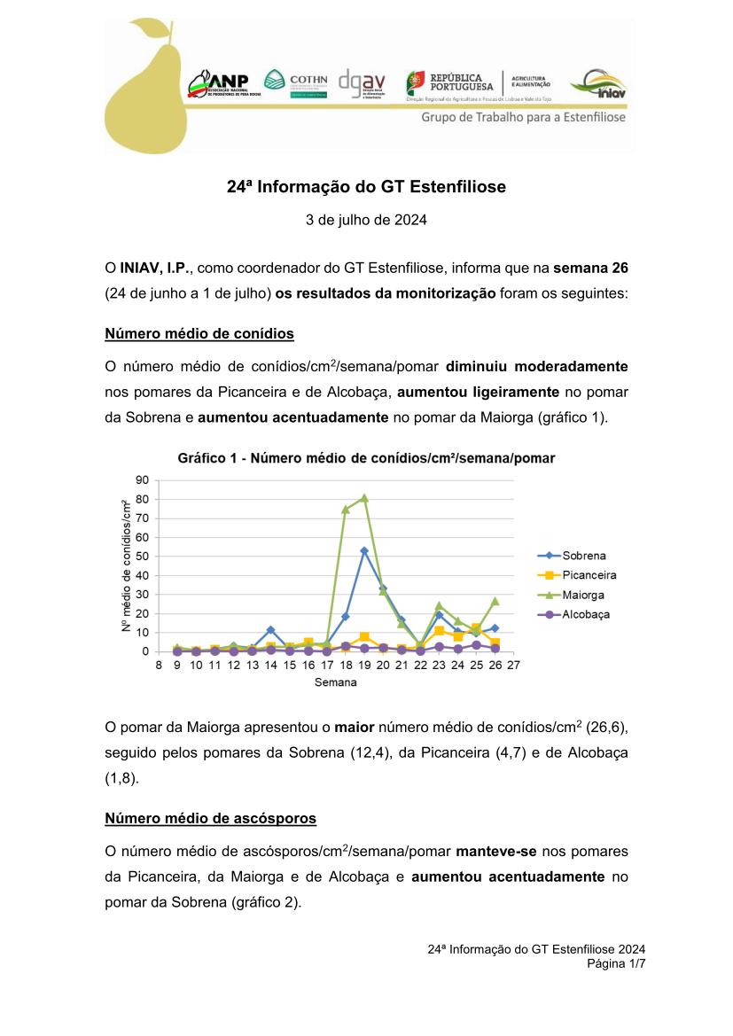 24ª Informação do GT Estenfiliose 2024