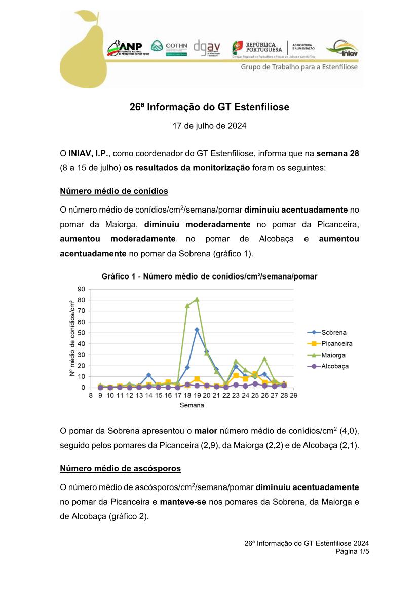 26ª Informação do GT Estenfiliose 2024