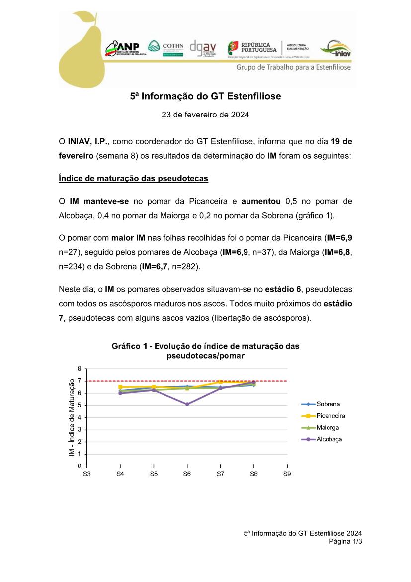 5ª Informação do GT Estenfiliose 2024