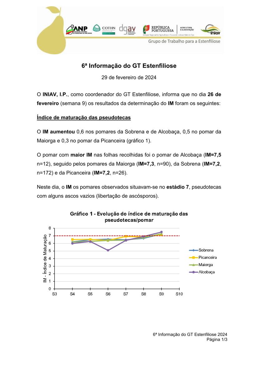 6ª Informação do GT Estenfiliose 2024