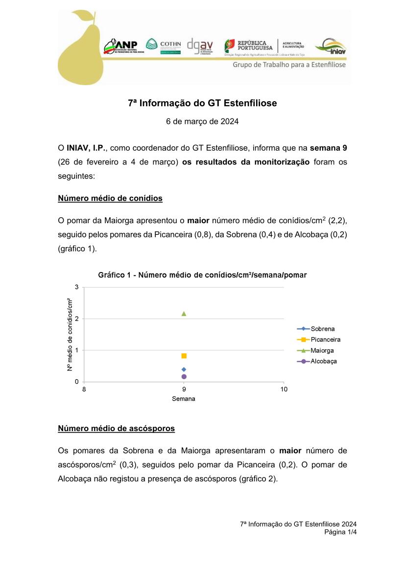 7ª Informação do GT Estenfiliose 2024