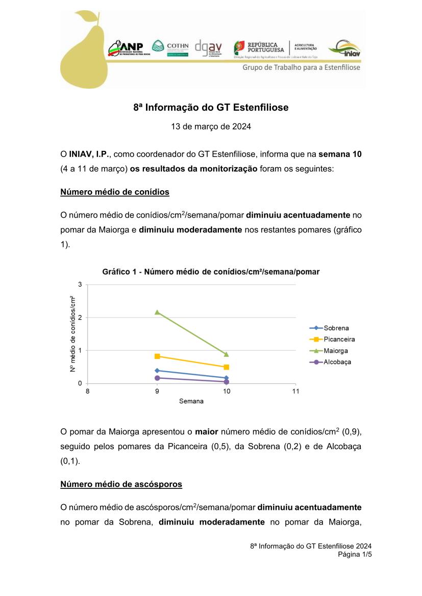 8ª Informação do GT Estenfiliose 2024