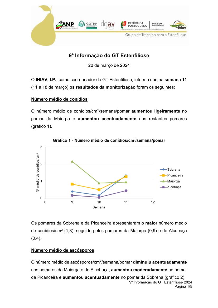 9ª Informação do GT Estenfiliose 2024