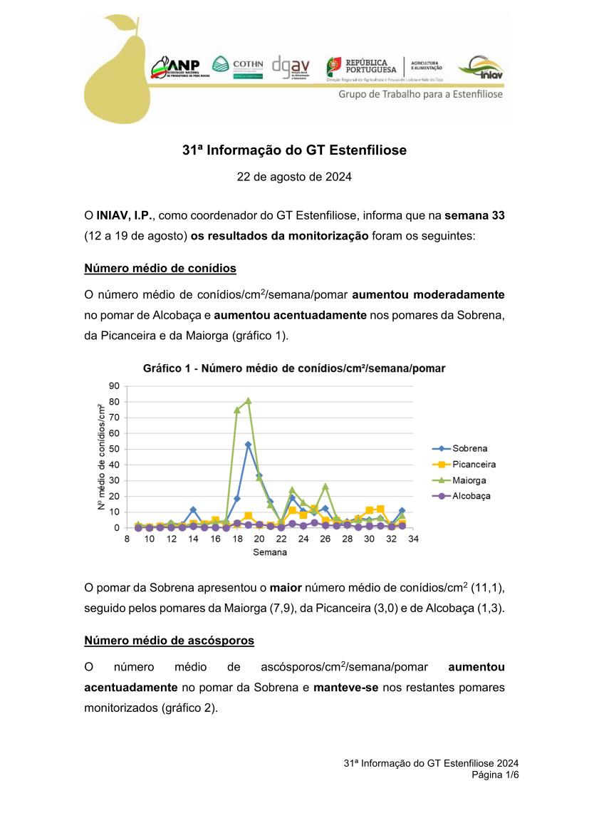 31ª Informação do GT Estenfiliose 2024