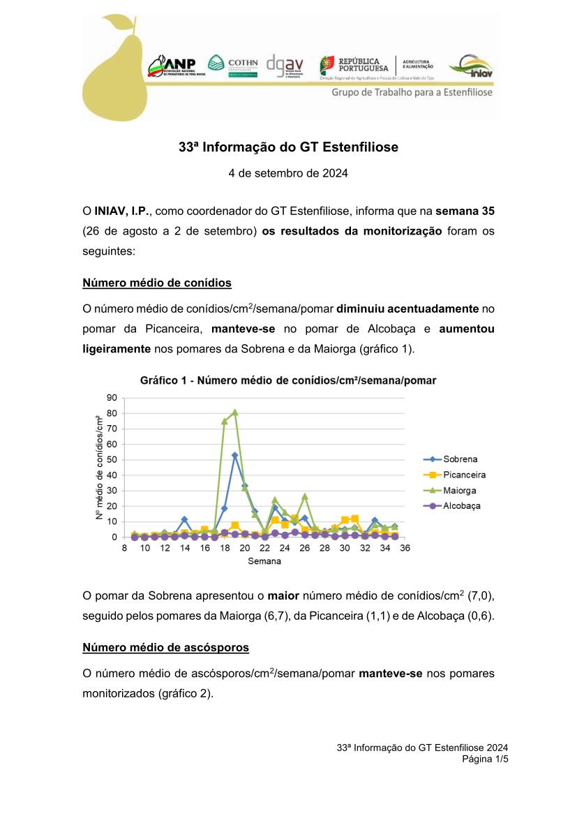 33ª Informação do GT Estenfiliose 2024 33ª Informação do GT Estenfiliose 2024