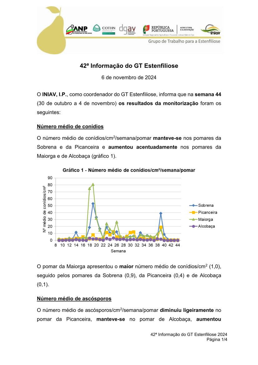 42ª Informação do GT Estenfiliose 2024