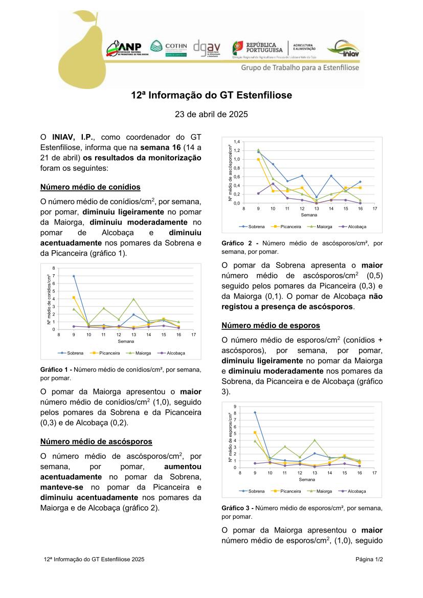 12ª Informação do GT Estenfiliose 2025