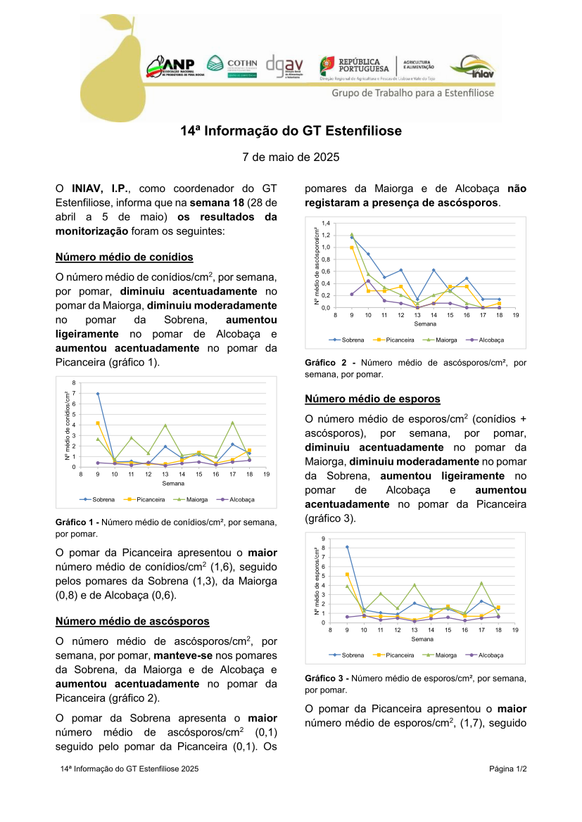 14ª Informação do GT Estenfiliose 2025