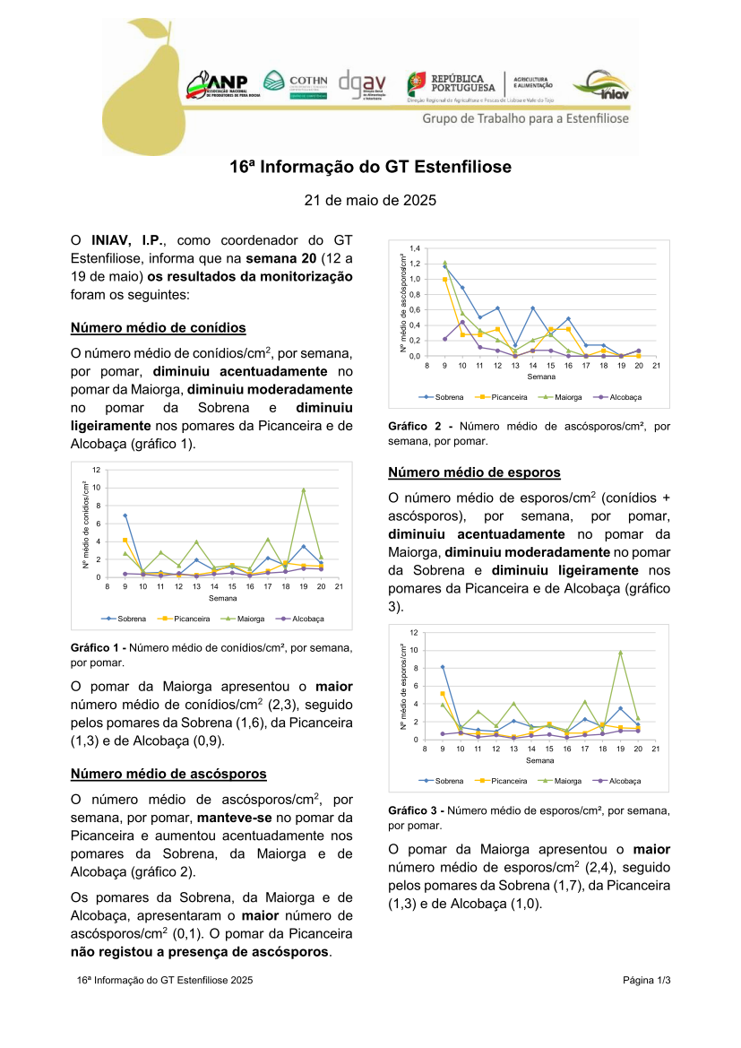 16ª Informação do GT Estenfiliose 2025