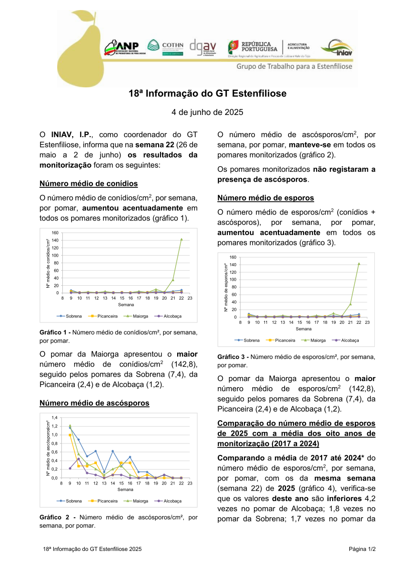 18ª Informação do GT Estenfiliose 2025
