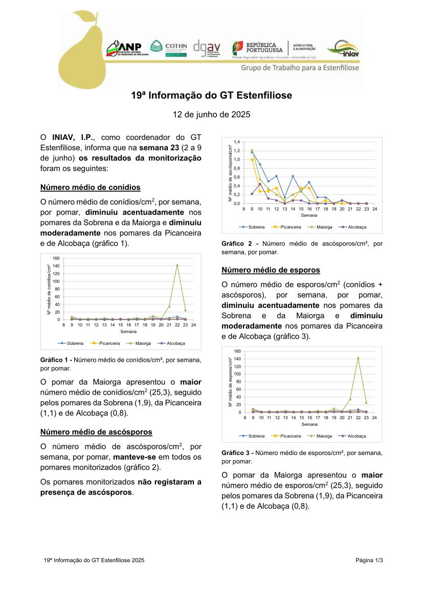 19ª Informação do GT Estenfiliose 2025