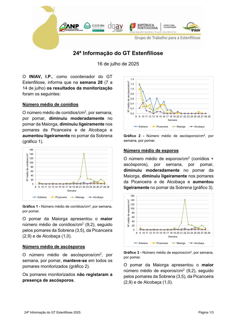 24ª Informação do GT Estenfiliose 2025