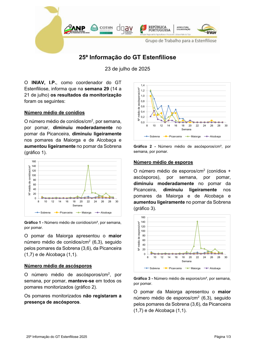 25ª Informação do GT Estenfiliose 2025