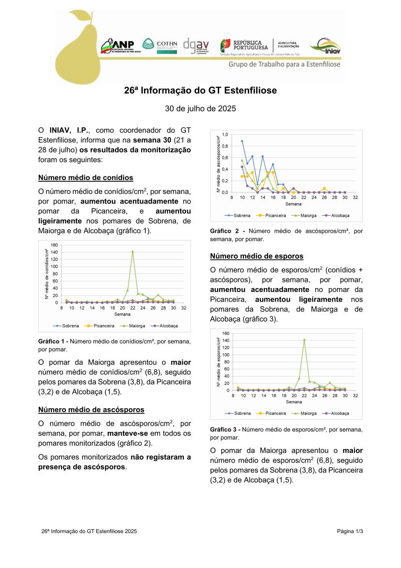 26ª Informação do GT Estenfiliose 2025