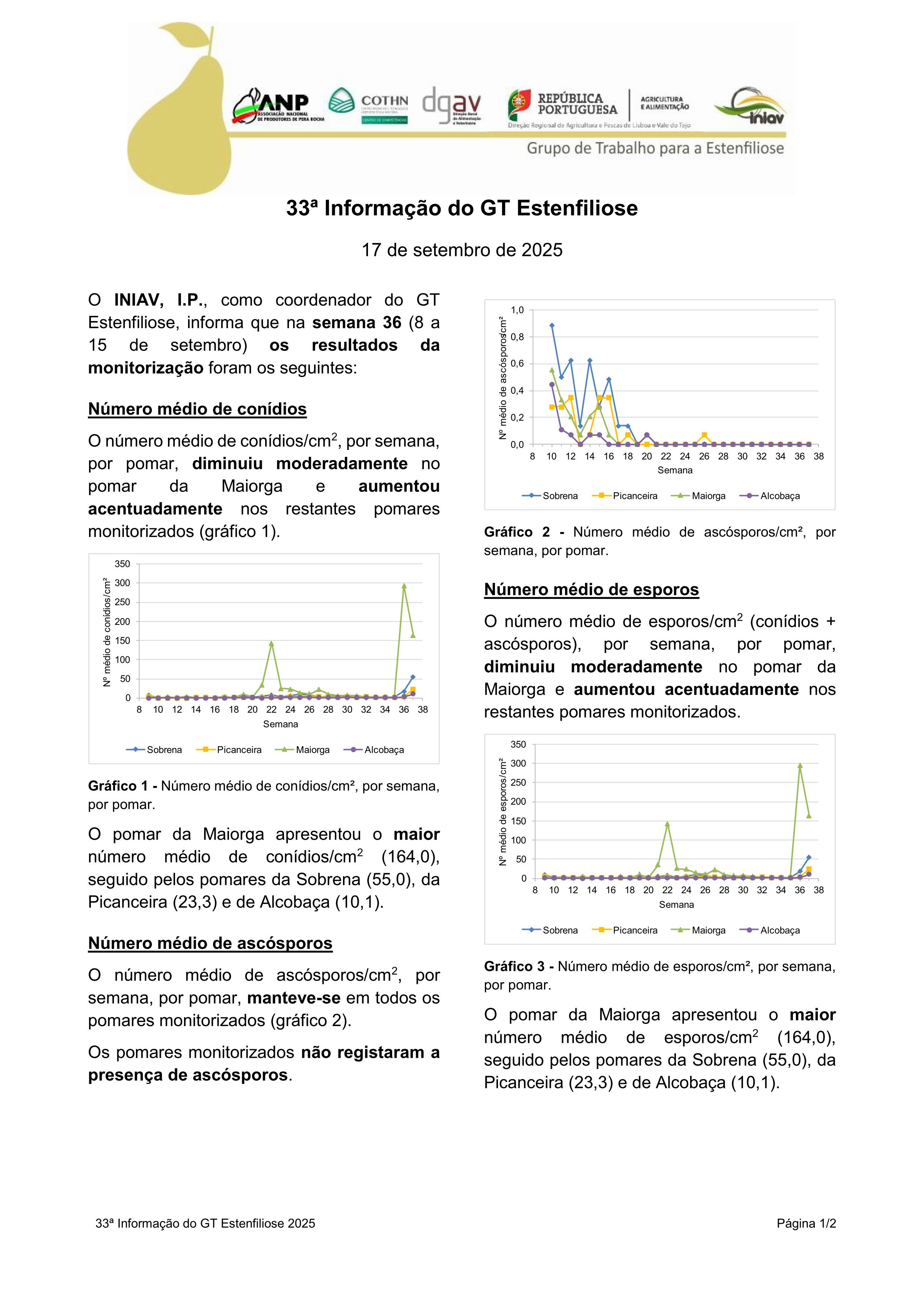33ª Informação do GT Estenfiliose 2025