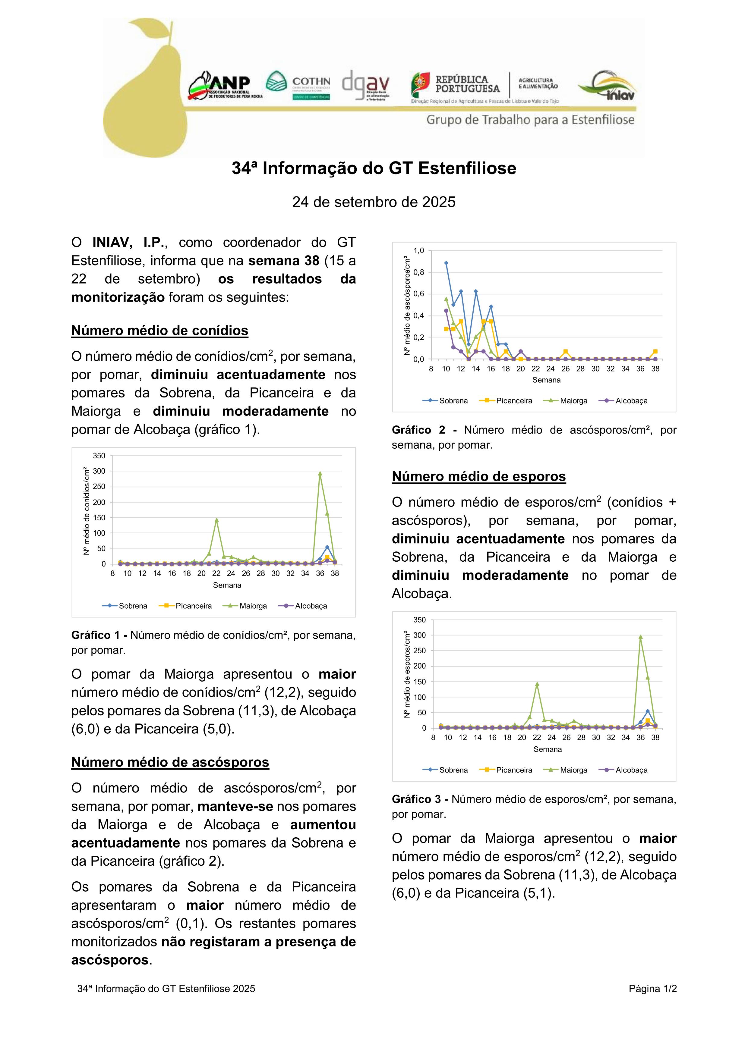 34ª Informação do GT Estenfiliose 2025