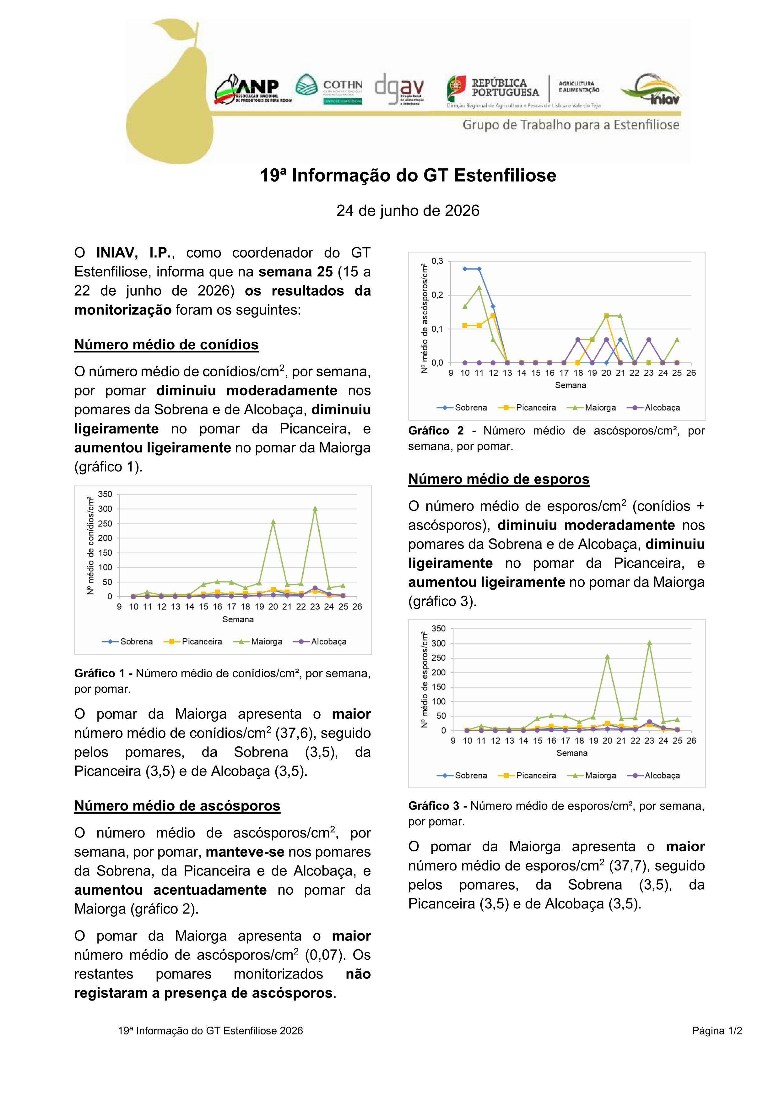 19ª Informação do GT Estenfiliose 2026 19ª Informação do GT Estenfiliose 2026