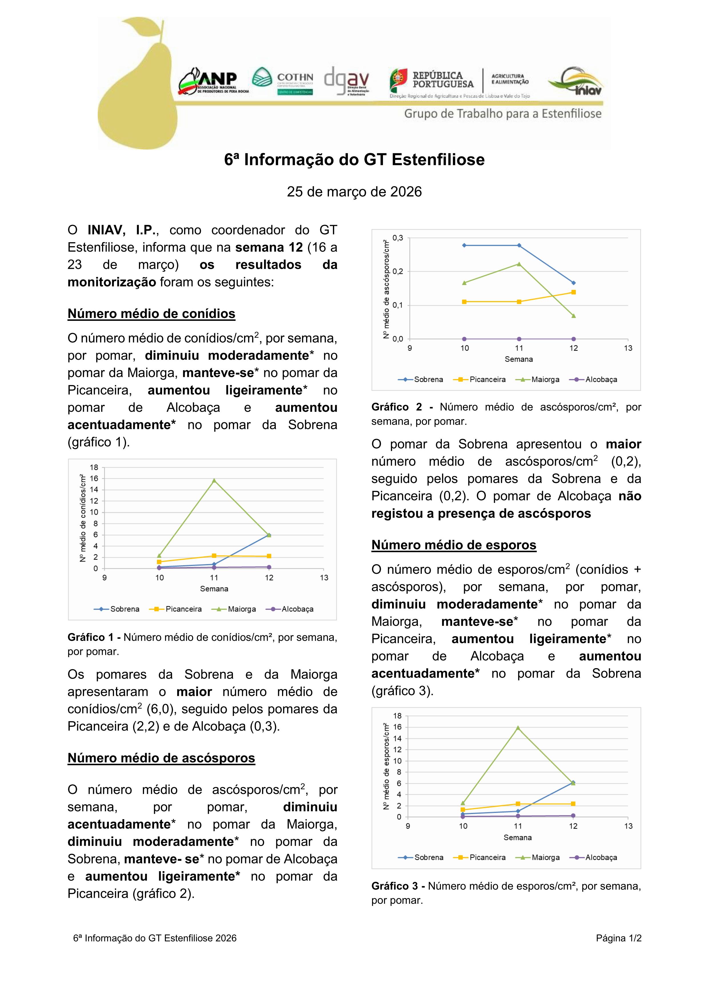6ª Informação do GT Estenfiliose 2026