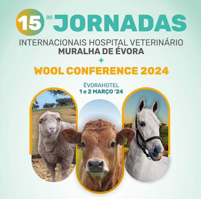 15 jornadas Internacionais HVME