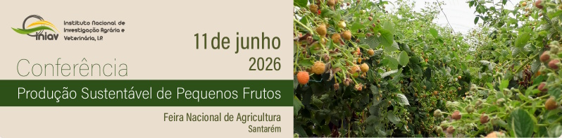 Banner Conferencia INIAV Producao Sustentavel de Pequenos Frutos 2