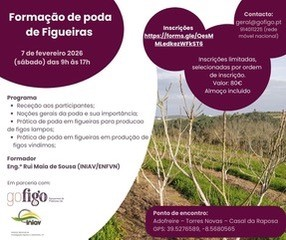 Formação de Poda de Figueiras | 7 de fevereiro de 2026