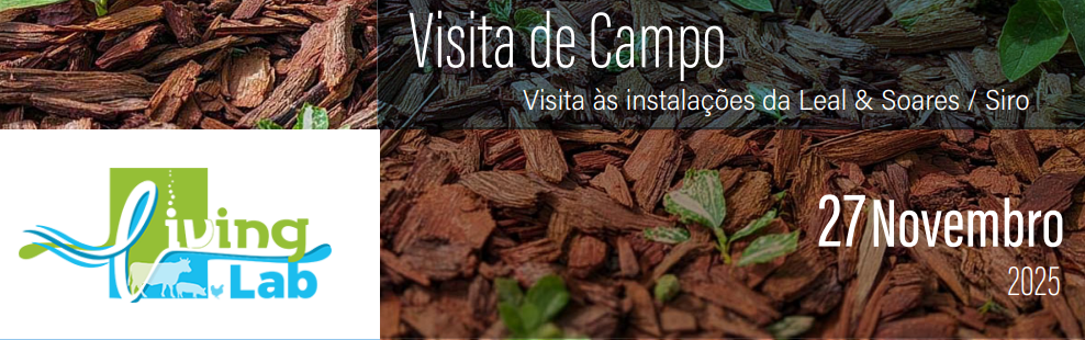 Visita de Campo - LIVING LAB Efluentes