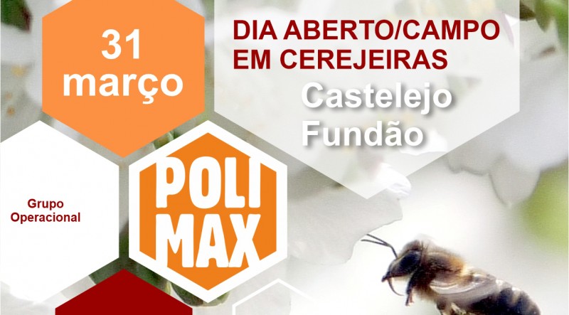 DIA ABERTO DE CAMPO DO GO POLIMAX