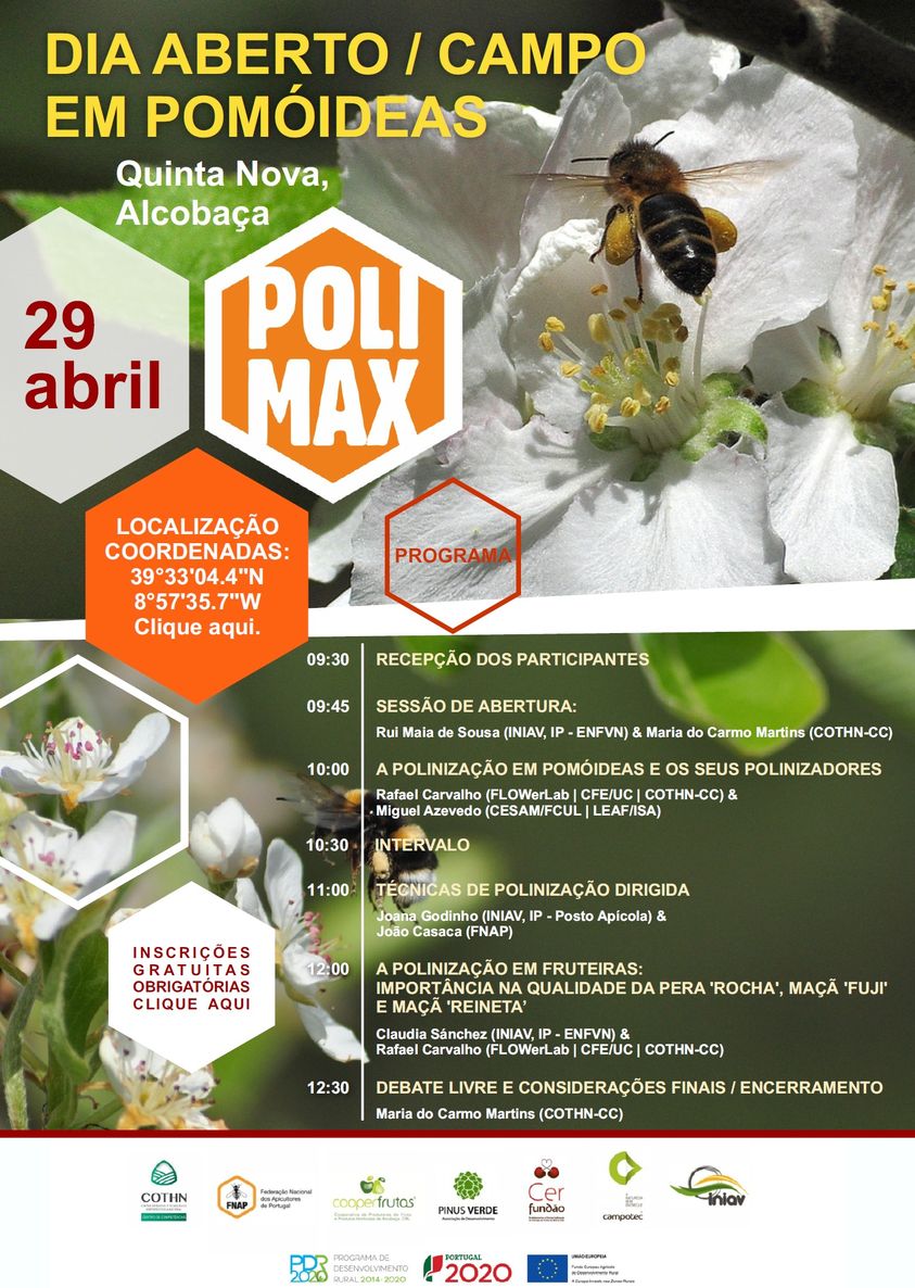Dia Aberto Campo pomoideas