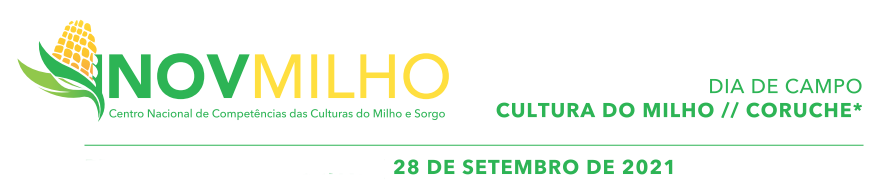 Dia de Campo INOVMILHO 28 09 2021