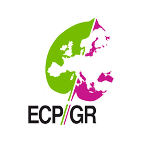 Encontro Europeu de Gestores de Bancos no âmbito do European Cooperative Programme for Plant Genetic Resources (ECPGR)