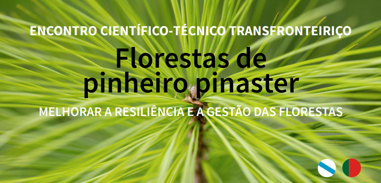 Encontro Cientifico Tecnico Transfronteirico dedicado as florestas de pinheiro bravo