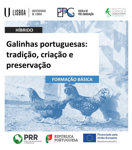 Galinhas Portuguesas Tradicao Criacao e Preservacao